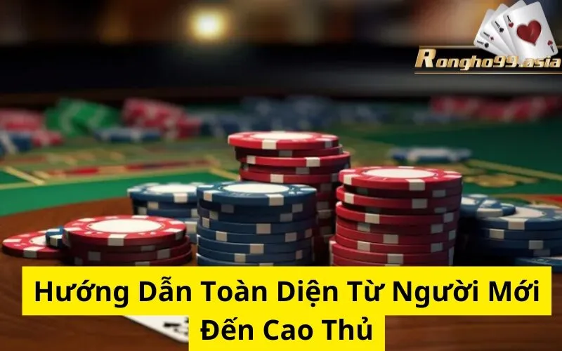 Hướng Dẫn Toàn Diện Từ Người Mới Đến Cao Thủ
