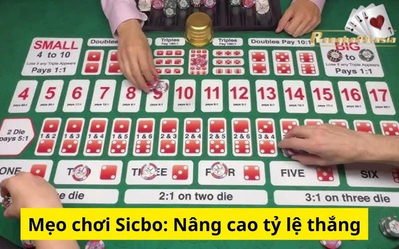 Mẹo chơi Sicbo: Nâng cao tỷ lệ thắng