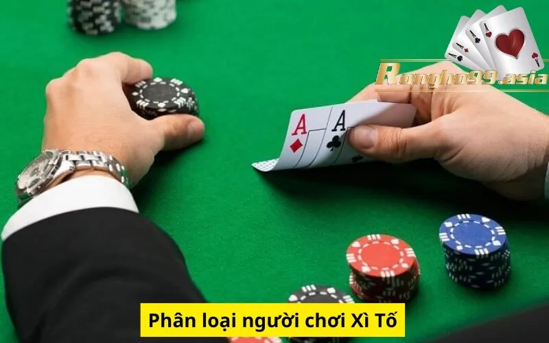 Phân loại người chơi Xì Tố