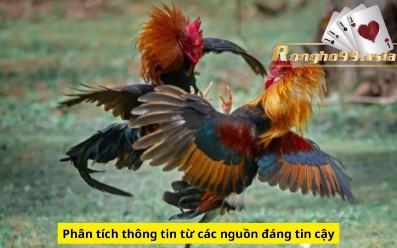 Phân tích thông tin từ các nguồn đáng tin cậy