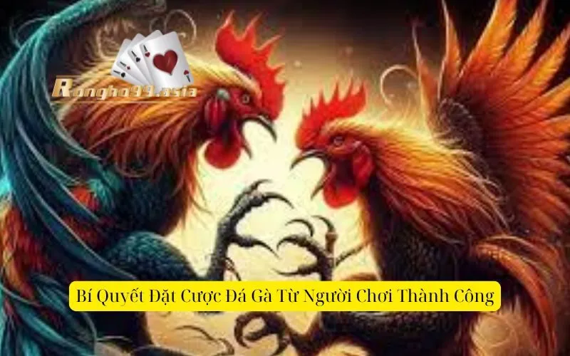 Bí Quyết Đặt Cược Đá Gà Từ Người Chơi Thành Công