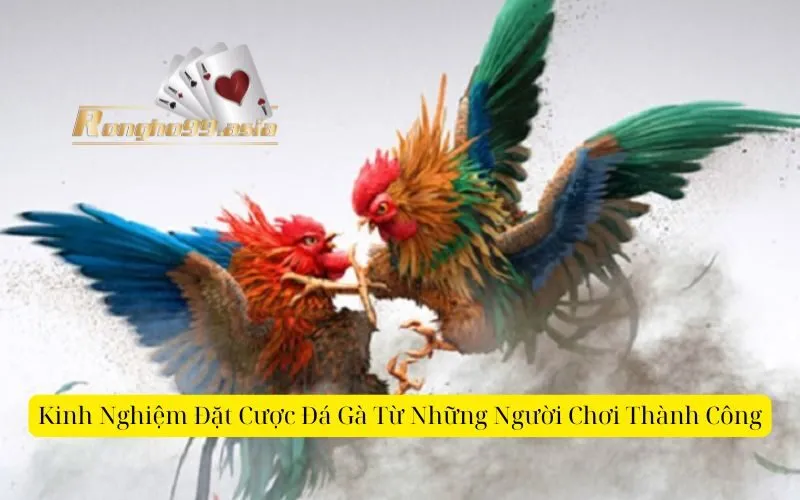 Kinh Nghiệm Đặt Cược Đá Gà Từ Những Người Chơi Thành Công