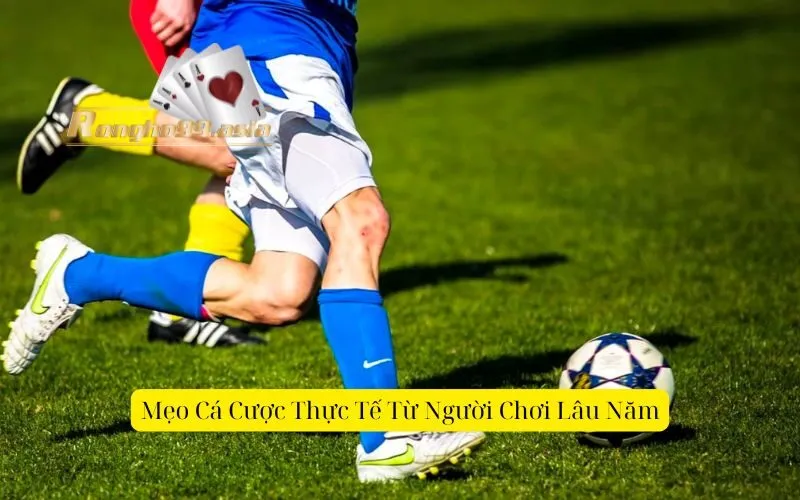 Mẹo Cá Cược Thực Tế Từ Người Chơi Lâu Năm